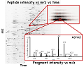 A plot suggesting a comparison of histograms for identification